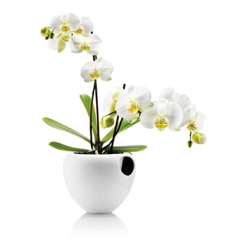 pot à orchidée chez Eva Solo